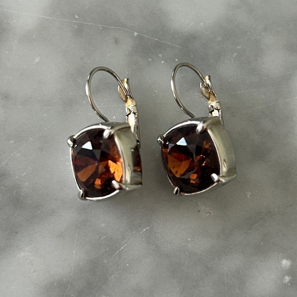 None Jewelry - Chic Silver and Brown Crystal Earrings